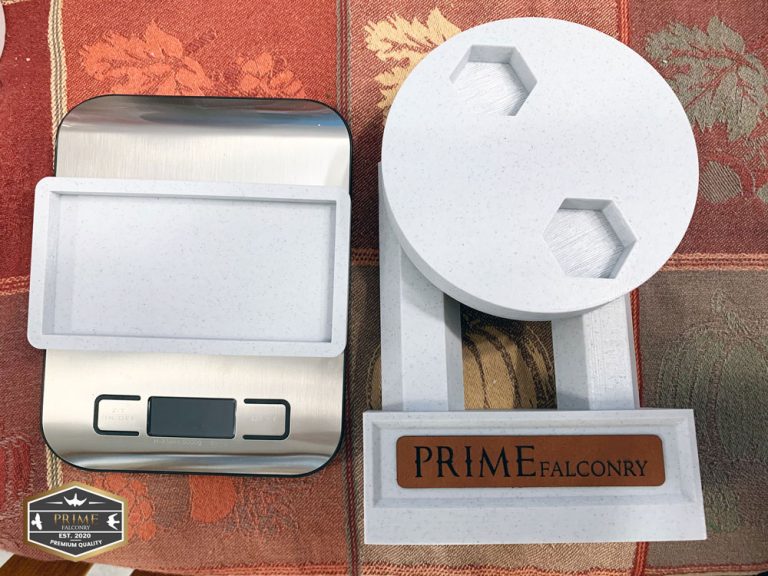 Falconry Scale with Perch Prime Falconry