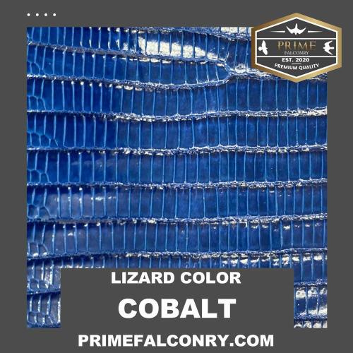 Cobalt Blue Lizard