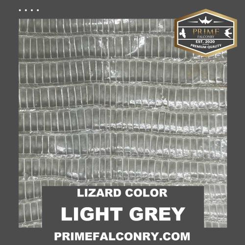 Light Grey Lizard