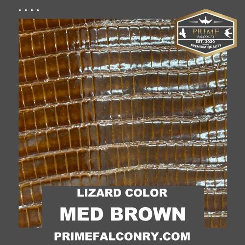 Medium Brown Lizard