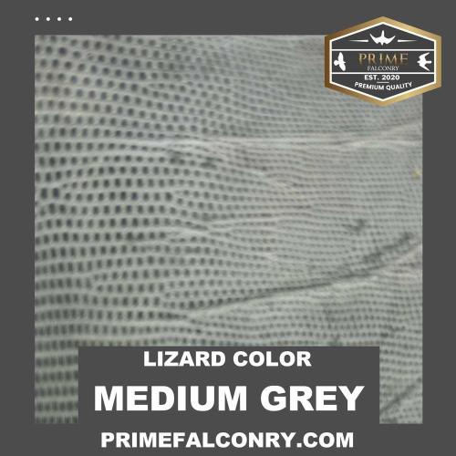 Medium Grey Lizard