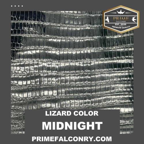 Midnight Blue Lizard