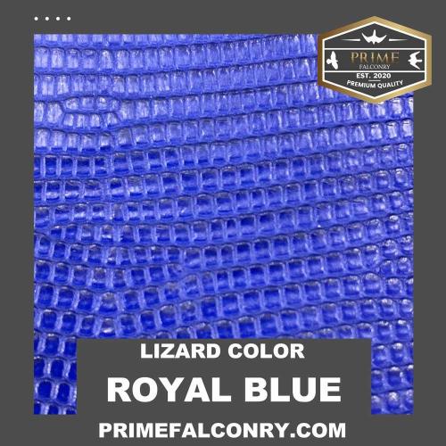 Royal Blue Lizard